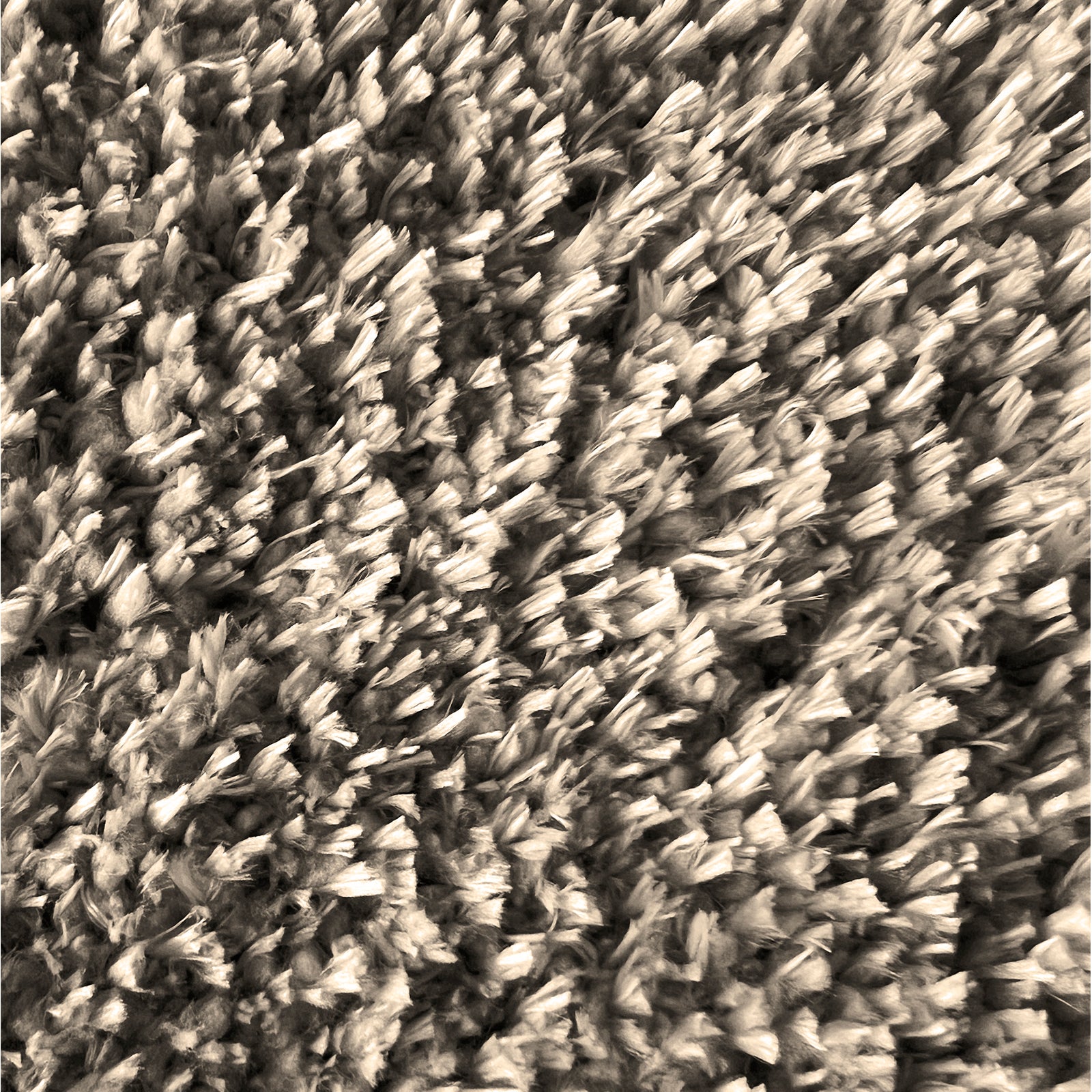 T1_Hellbeige