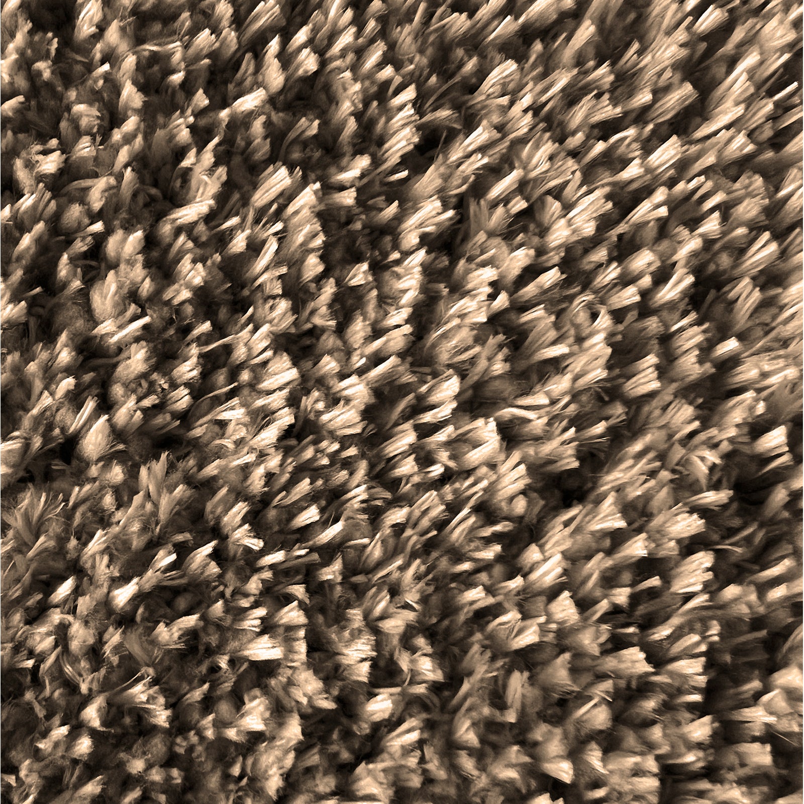 T1_Hellbraun