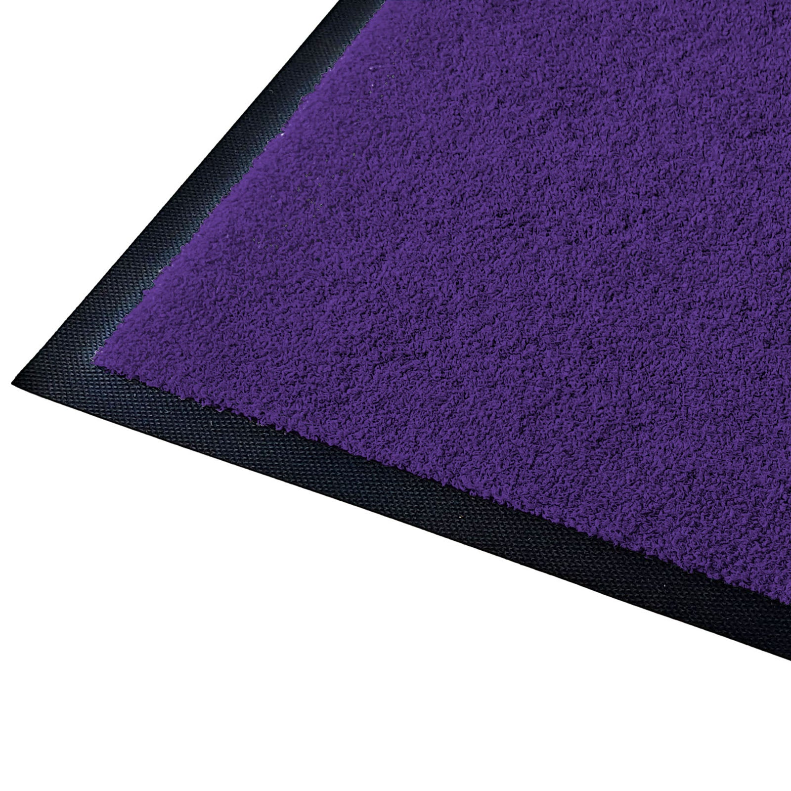 T2_CM61 - Aubergine