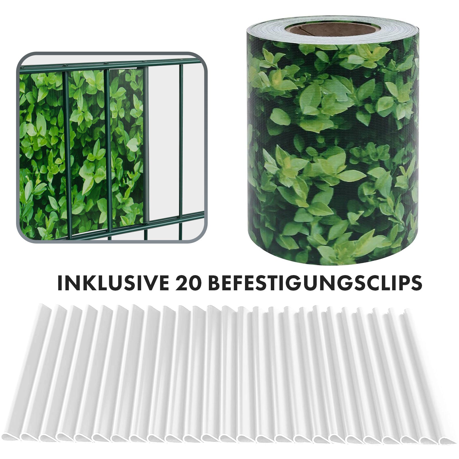 T2_Buchsbaum