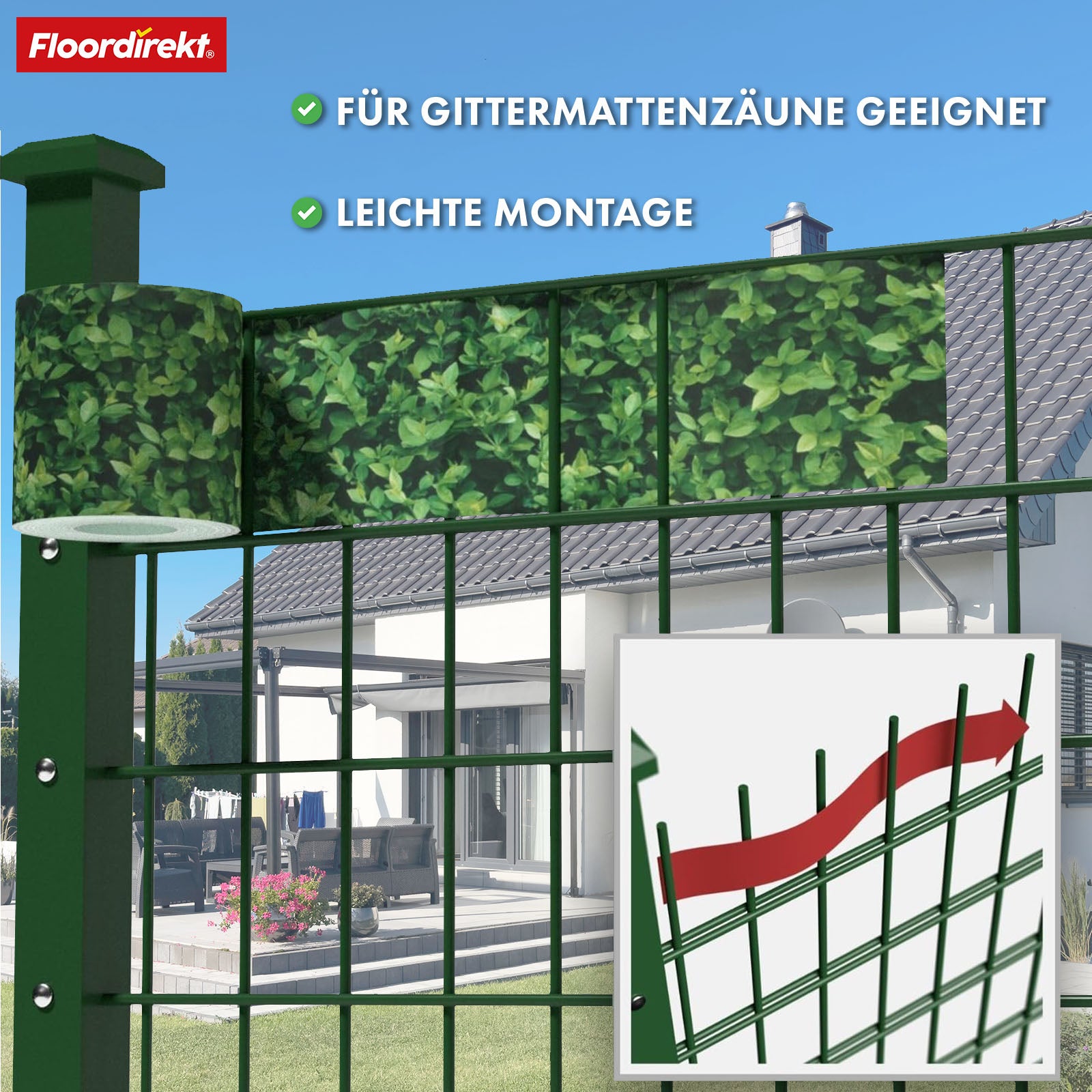 T3_Buchsbaum
