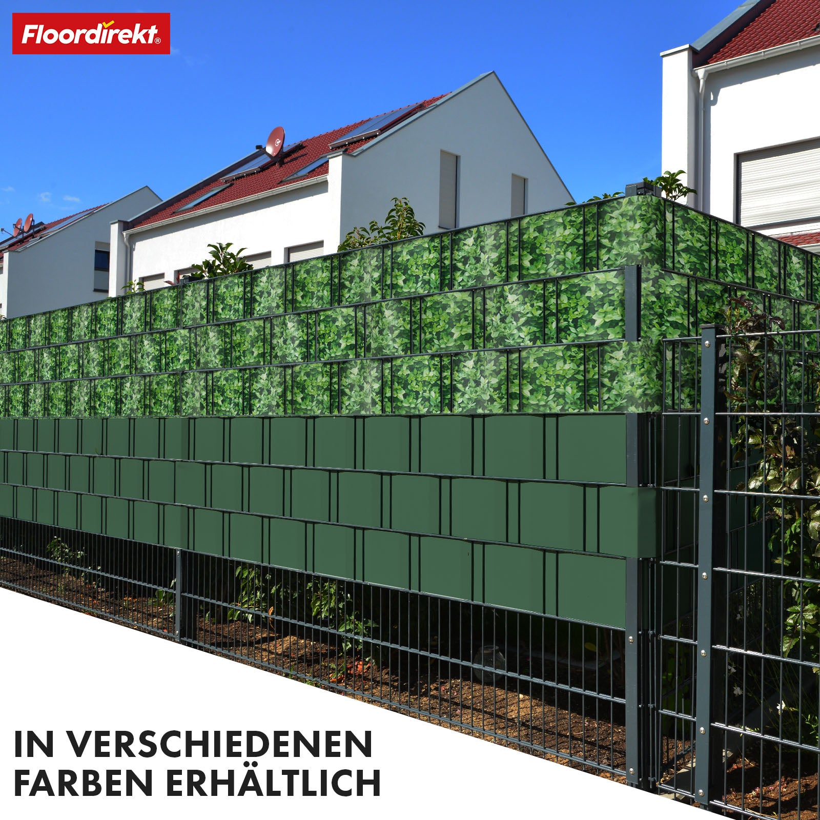 T6_Buchsbaum