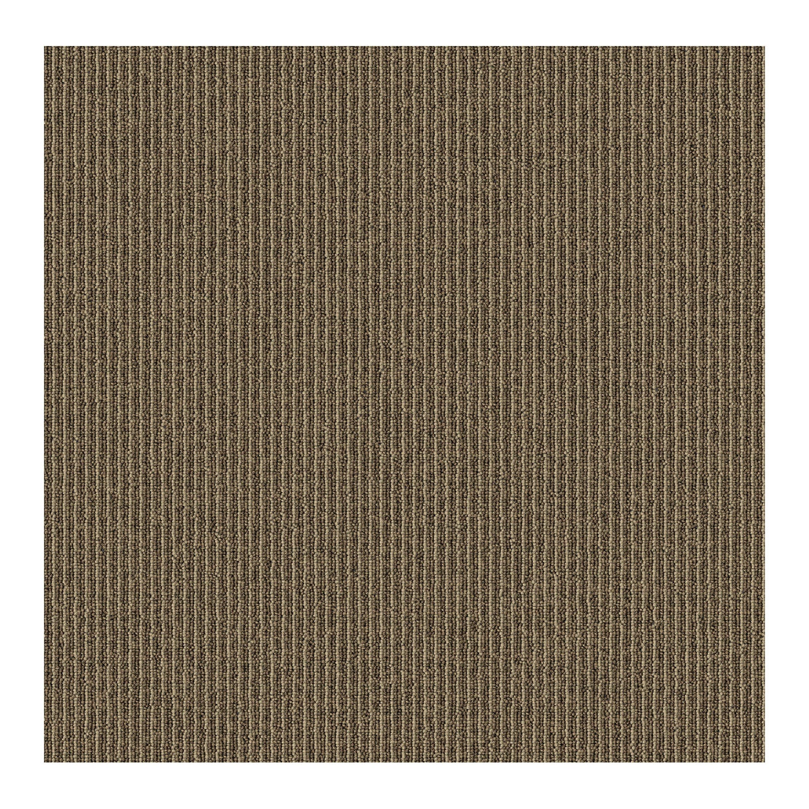 F1_Beige