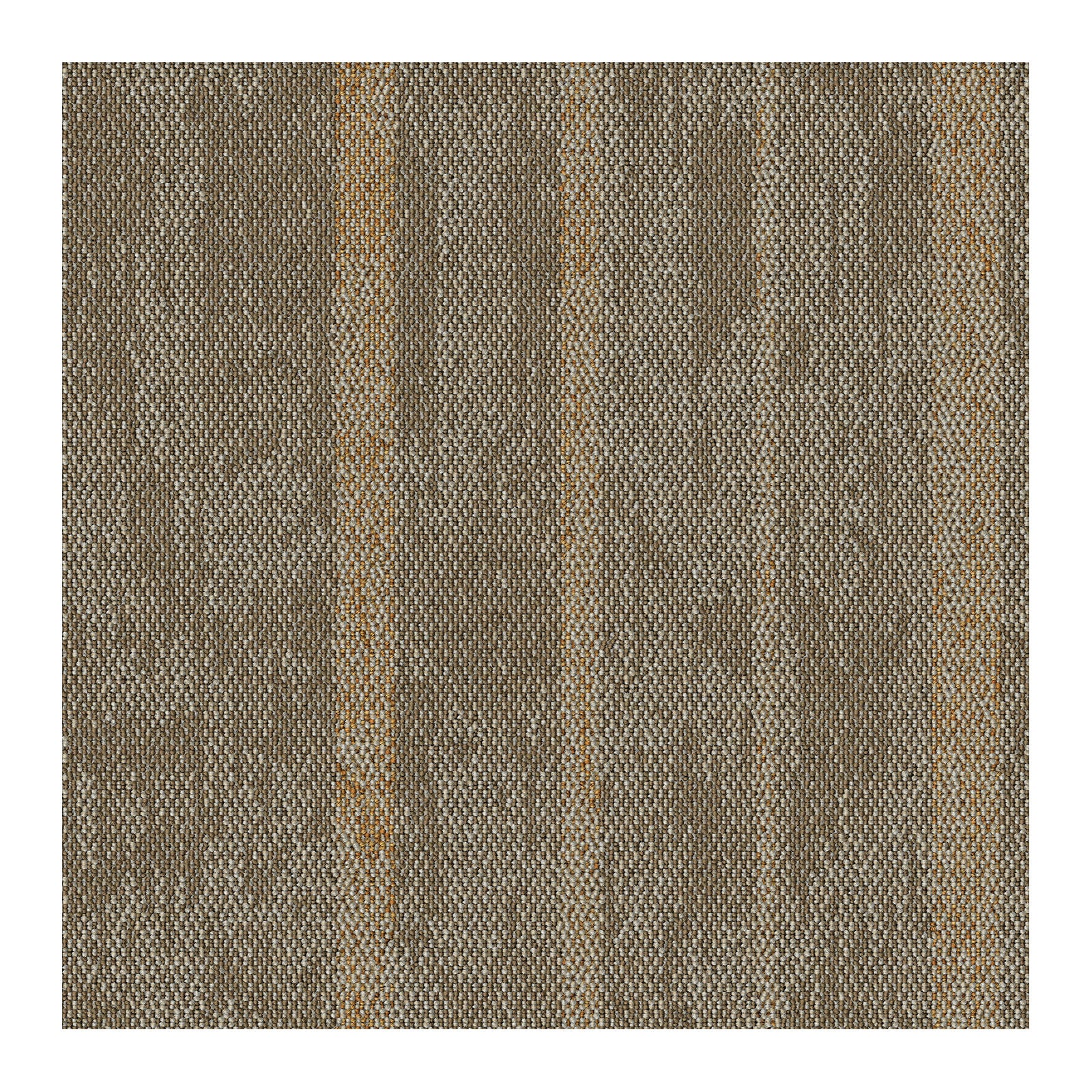 F1_Beige