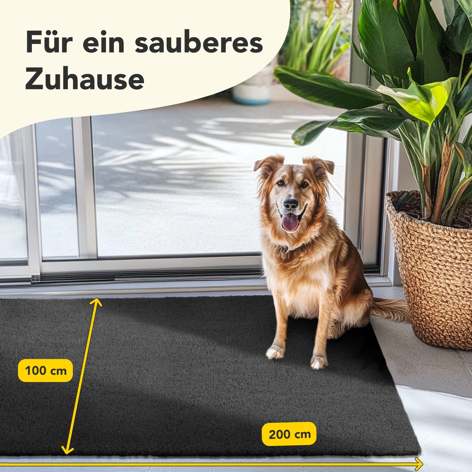 T1_Schwarz