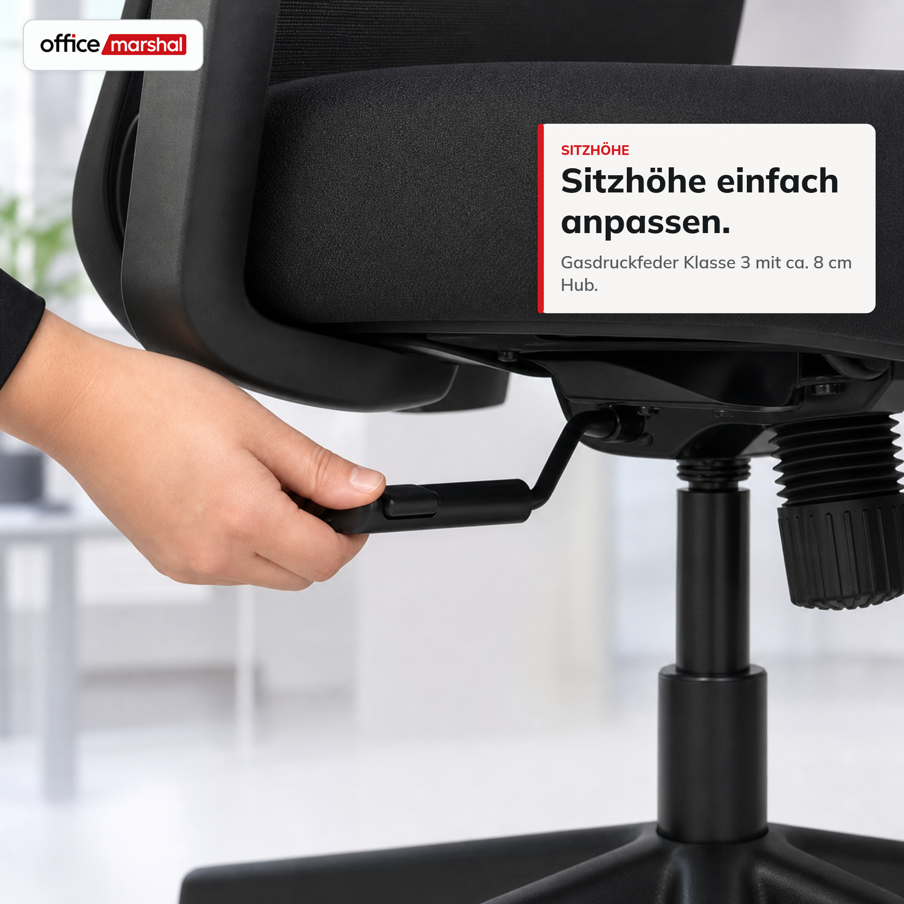 T8_Schwarz
