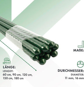 T1_Grün