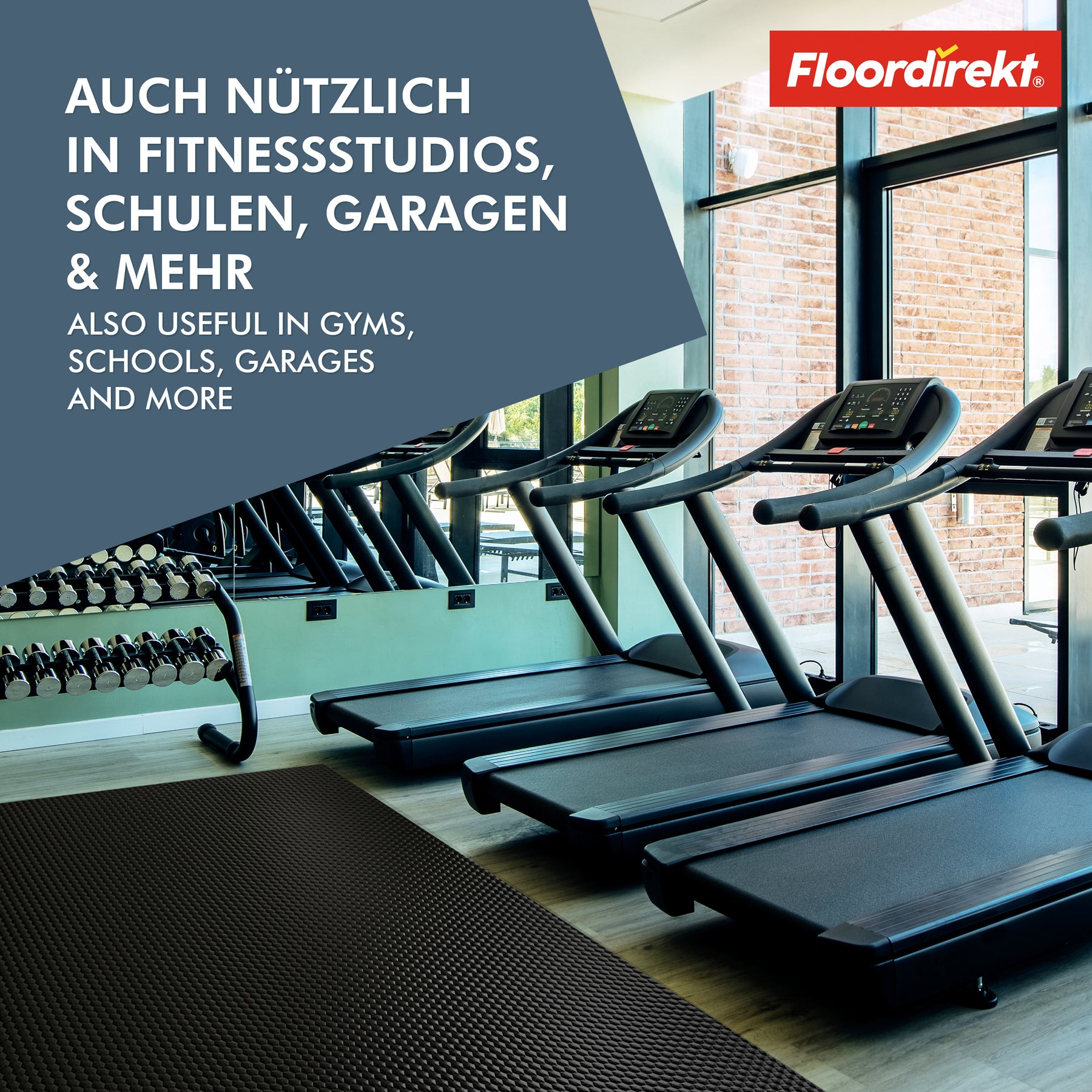 T6_Schwarz