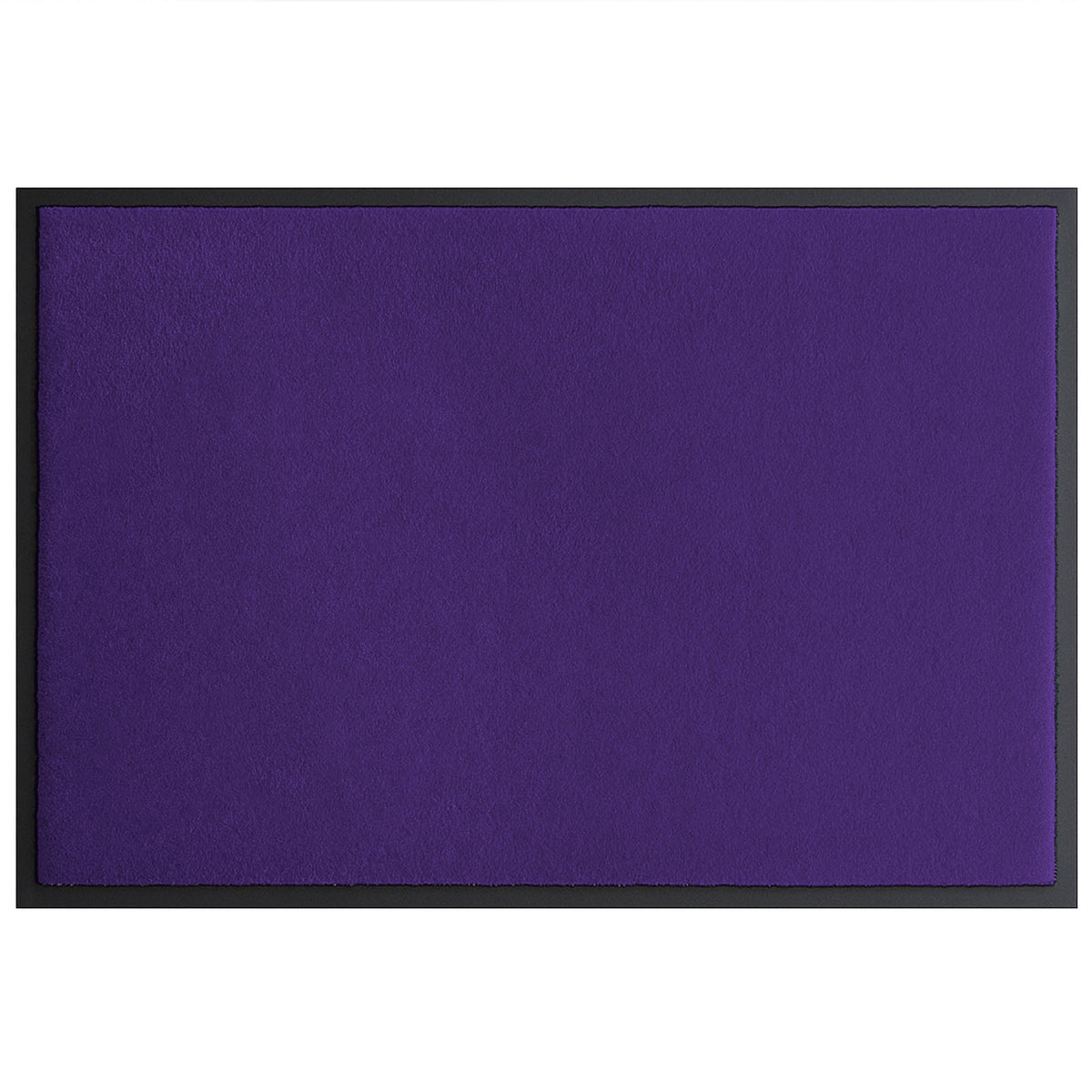 F1_CM61 - Aubergine