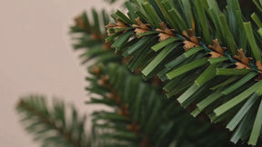 Künstlicher Weihnachtsbaum mit LED-Beleuchtung | Evergreen | Warmweiße LEDs & Metallständer | 150–240 cm