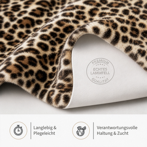 T2_Leopard
