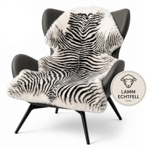 F1_Zebra