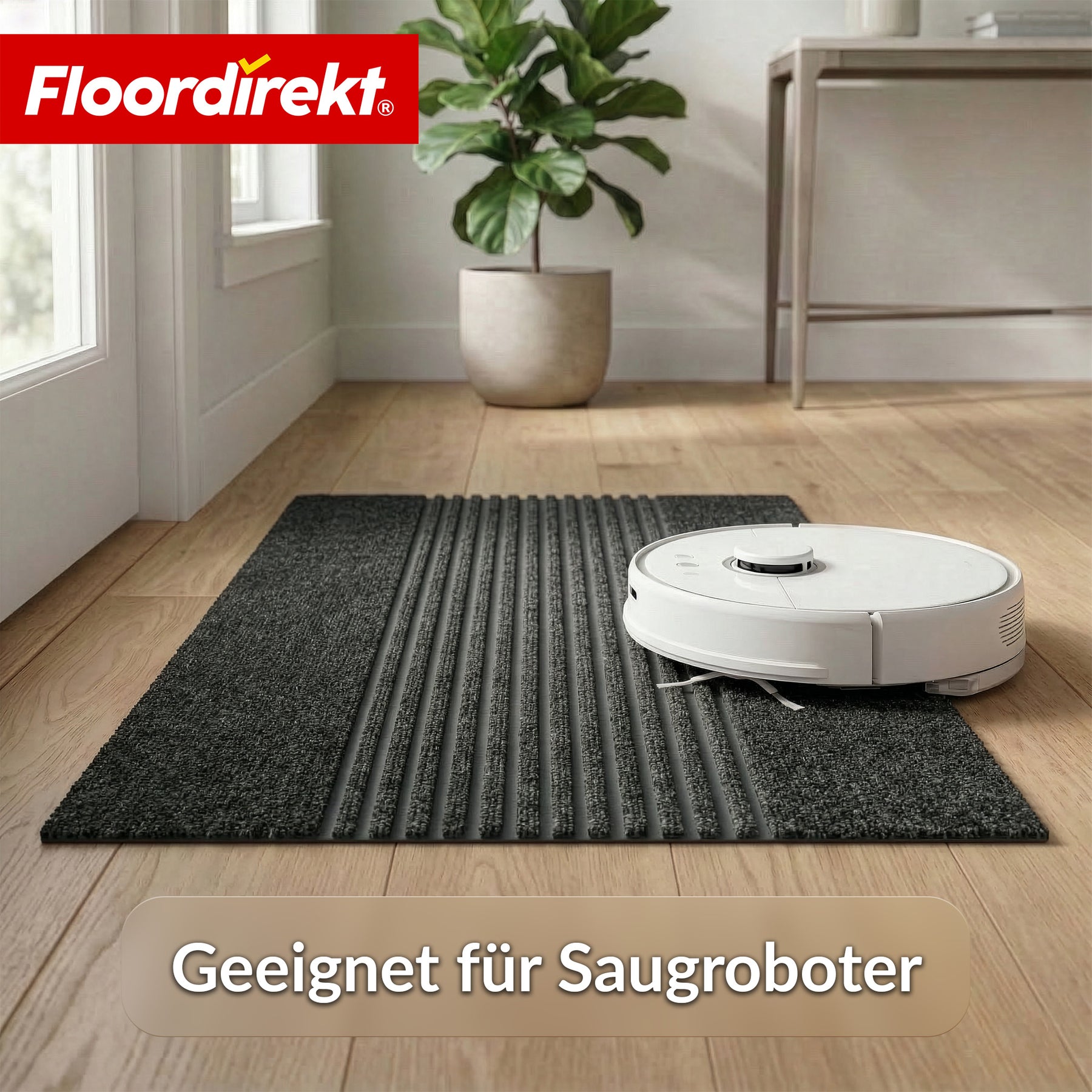 T6_Anthrazit Streifen