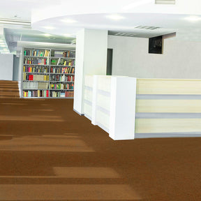 A2_Light Brown | Light Brown